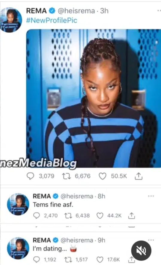 Rema's post about Tems
