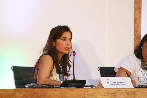 Malini Mehra during a conference held in China