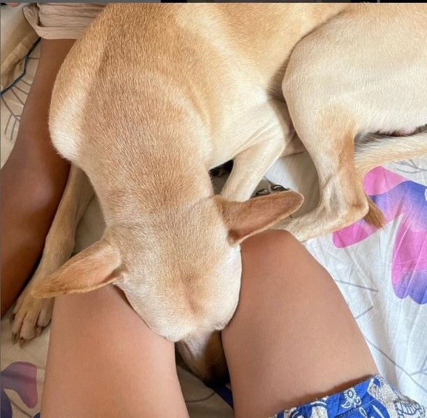 Nitya Mathur with her pet dog