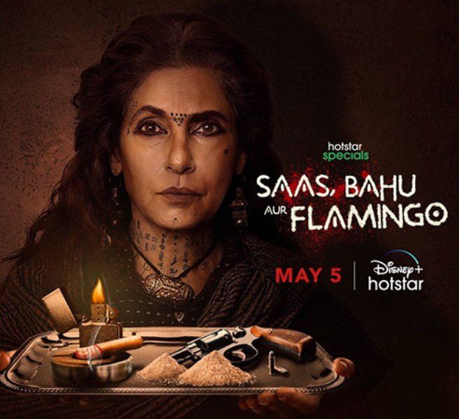 Poster of the TV series 'Saas, Bahu Aur Flamingo'