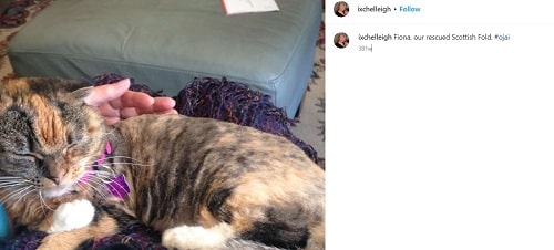 Susan Humphreys' Instagram post about her cat