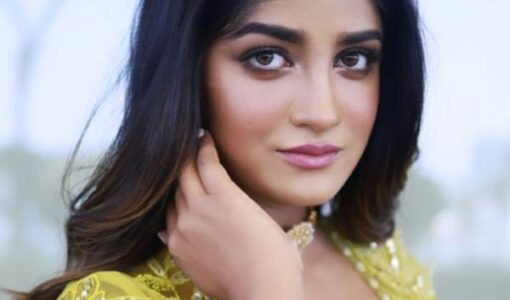 Dimple Hayathi