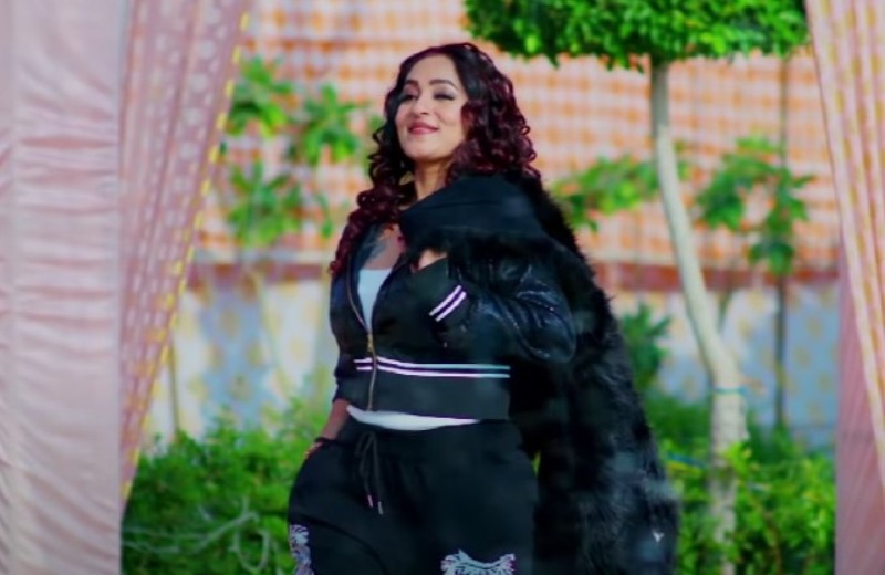 A screengrab from the Rajasthani song Gota Hi Gota, featuring Sangeeta Kapure