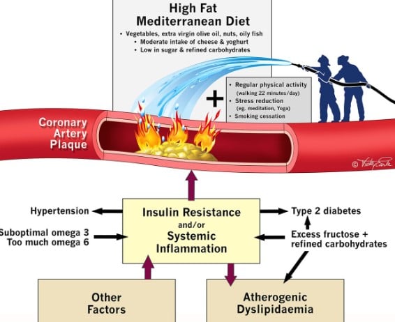 Lifestyle interventions for the prevention and treatment of coronary disease