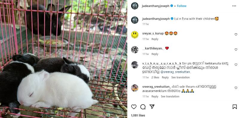 Jude Anthany Joseph's Instagram post about his pets