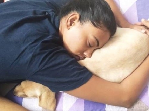 Kamakshi Bhaskarla with her pet dog