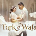 Tark e Wafa Actors, Cast & Crew