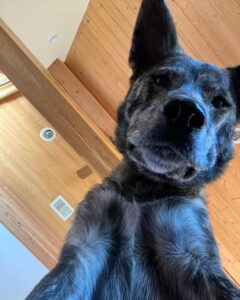 Kelsey Asbille Height, Age, Boyfriend, Family, Biography » StarsUnfolded