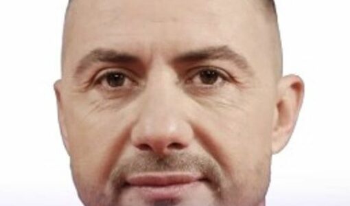 Igli Daizi