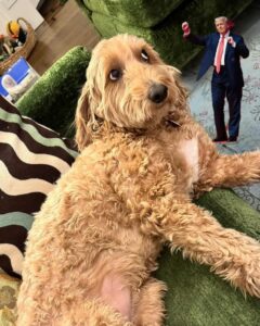 Jen Tullock Height, Age, Wife, Children, Family, Biography » StarsUnfolded