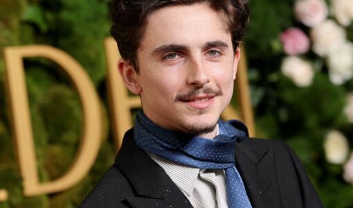 Timothée Chalamet