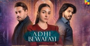 Adhi Bewafai