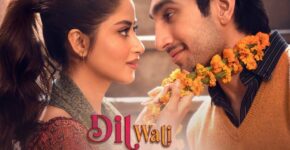 Dil Wali Gali Mein