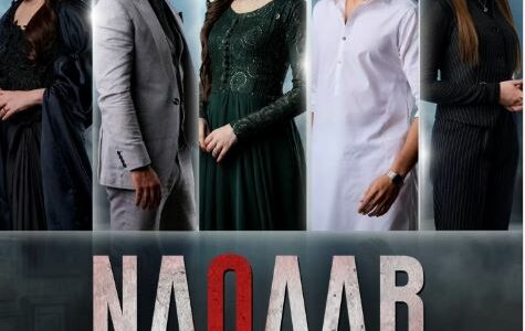 Naqaab