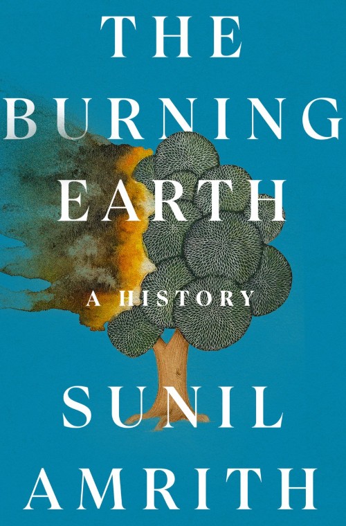 The cover of the book The Burning Earth A History (2024)