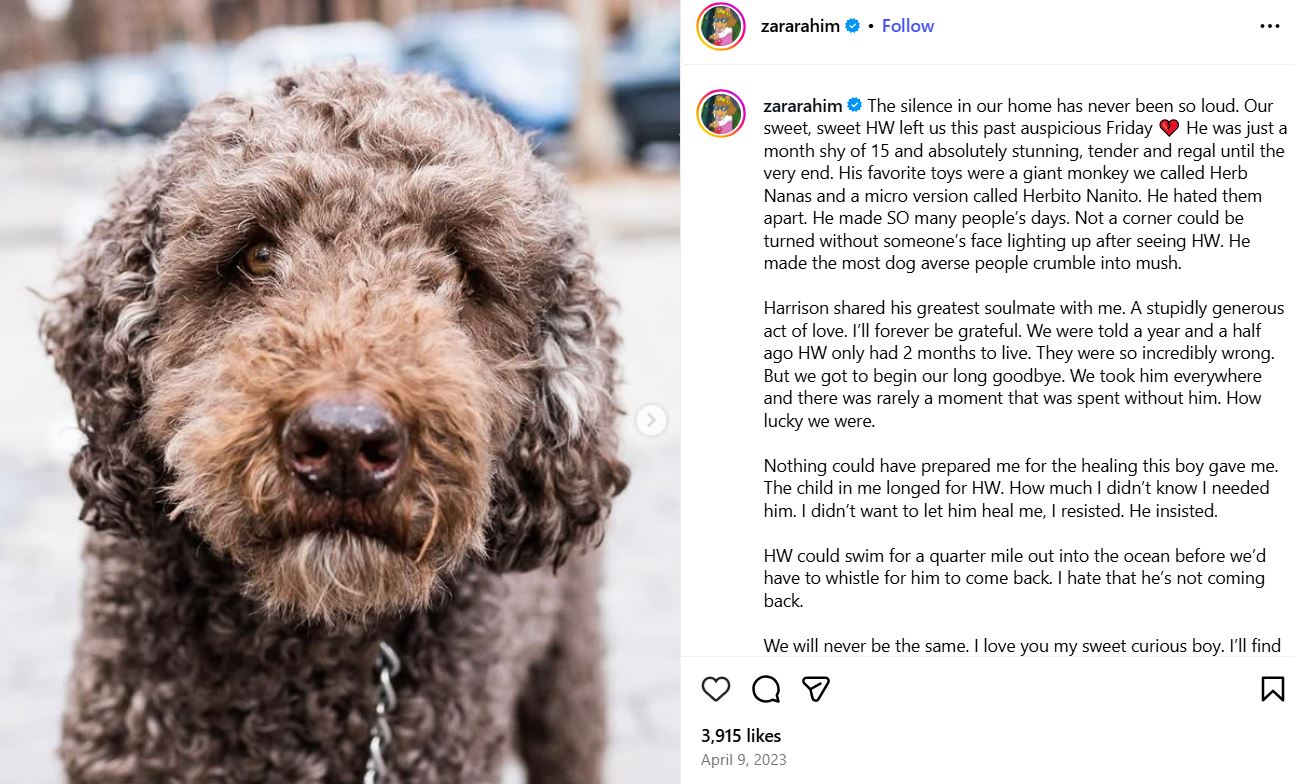 Zara Rahim's Instagram post about losing her pet