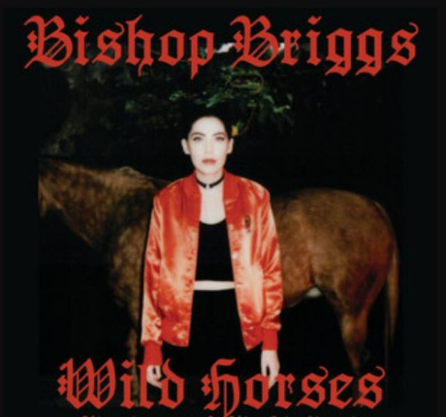 A poster of Bishop Briggs' single Wild Horses (2015)