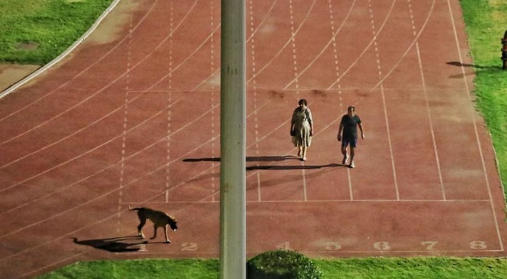 A snip from a viral video that showed Sanjeev Khirwar and his wife walking in the Thyagraj Stadium complex with their dog