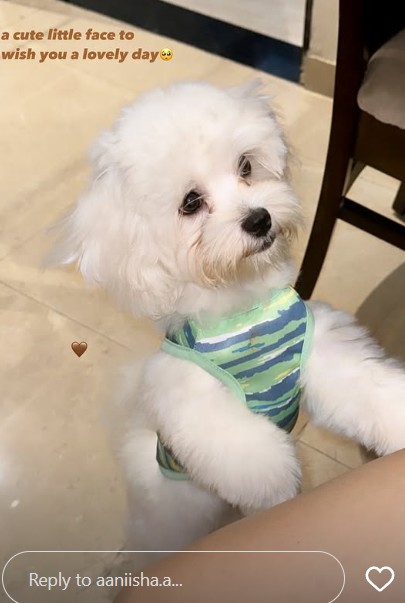 A social media post by Anisha Shinde while showing her pet