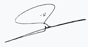 Nizar Amidi's Signature