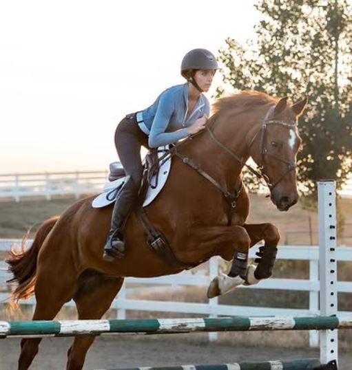 Priya Patel Height, Age, Family, Biography » StarsUnfolded 3 Priya Patel, while enjoying equestrianism