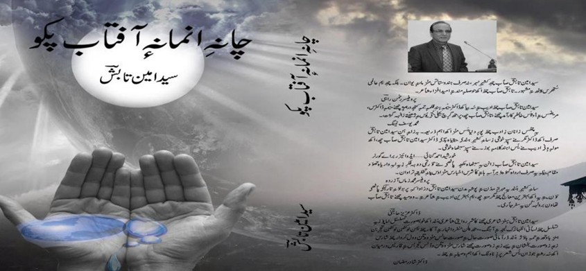 A snip of one of the poems by Syed Amin Tabish