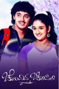 Cheluvina Chilipili (2009) film poster