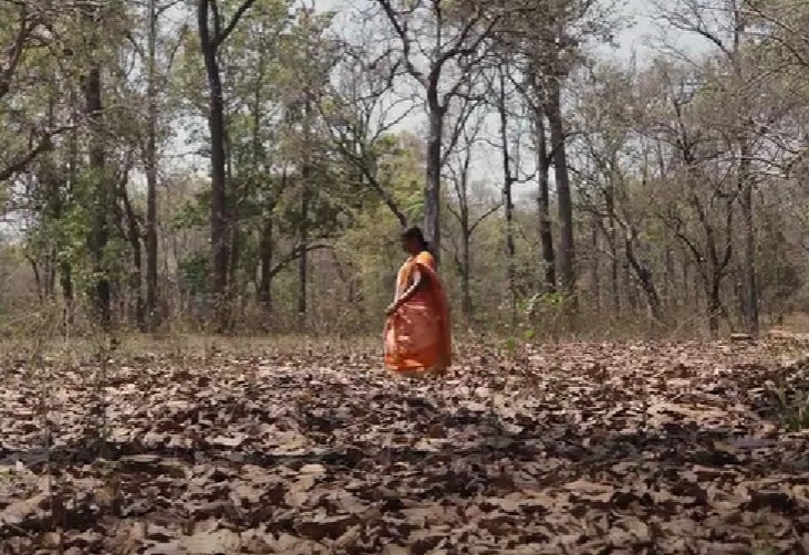 Budhri Tati, walking alone, in a difficult tribal area in Chhattisgarh, to reach a camp or program
