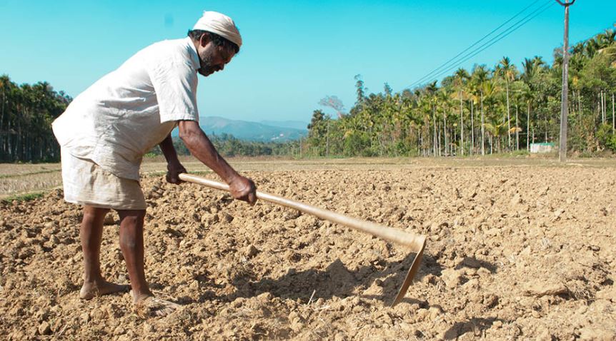 Cheruvayal Raman, while working in his farm