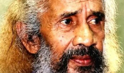 V.T. Vasudevan